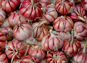 Aglio rosso di Proceno